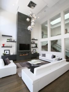 Modern Living Room decor