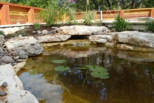 Benefits Of Ponds For Your New House