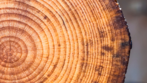 Vaporization of wood, characteristics and effects
